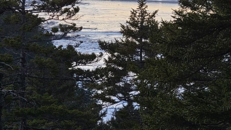Meserve Head Preserve - Machias, ME