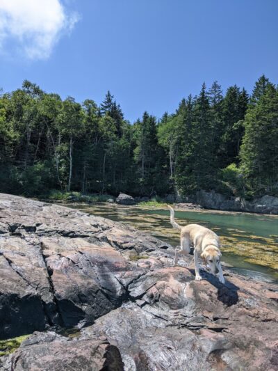 Machiasport - Machiasport, ME