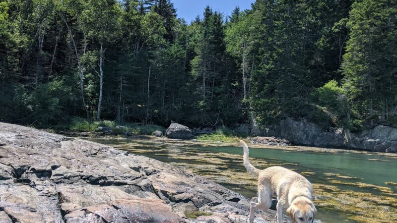 Machiasport - Machiasport, ME