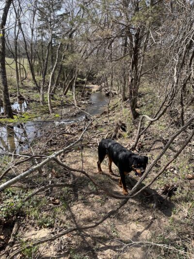 Macks Creek Park - Macks Creek, MO