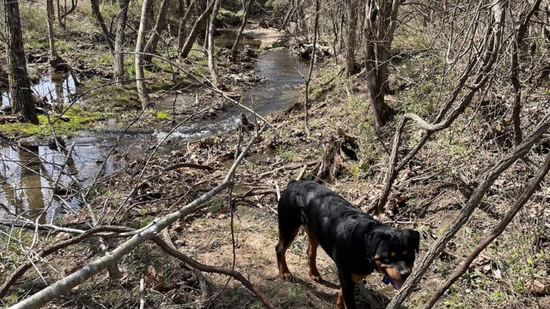 Macks Creek Park - Macks Creek, MO