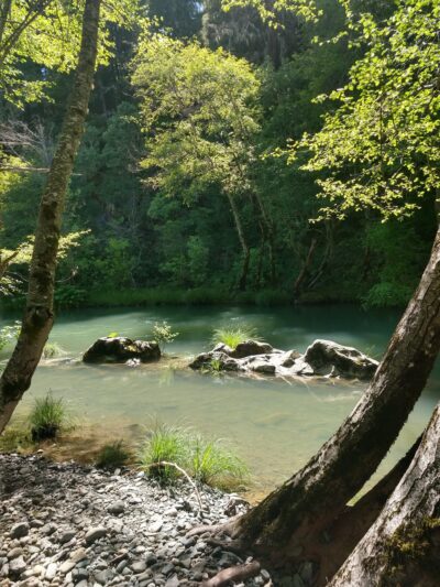 MAD RIVER CAMPGROUND - Mad River, CA
