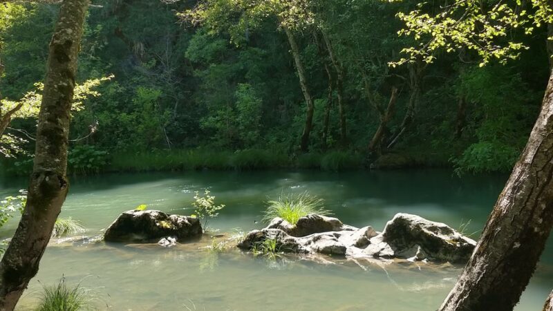 MAD RIVER CAMPGROUND - Mad River, CA