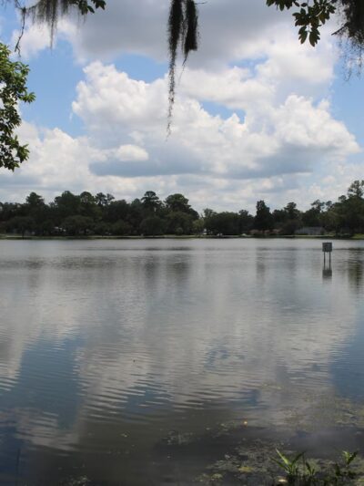 Lake Frances - Madison, FL