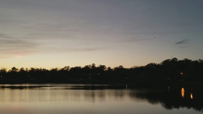 Lake Frances - Madison, FL