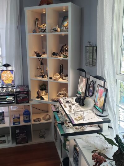 MuddyDog rock and crystal shop - Madison, FL