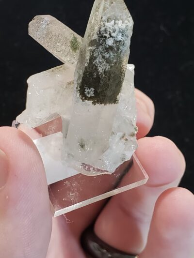 MuddyDog rock and crystal shop - Madison, FL
