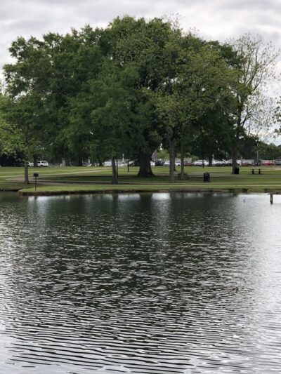 Strawberry Patch Park - Madison, MS