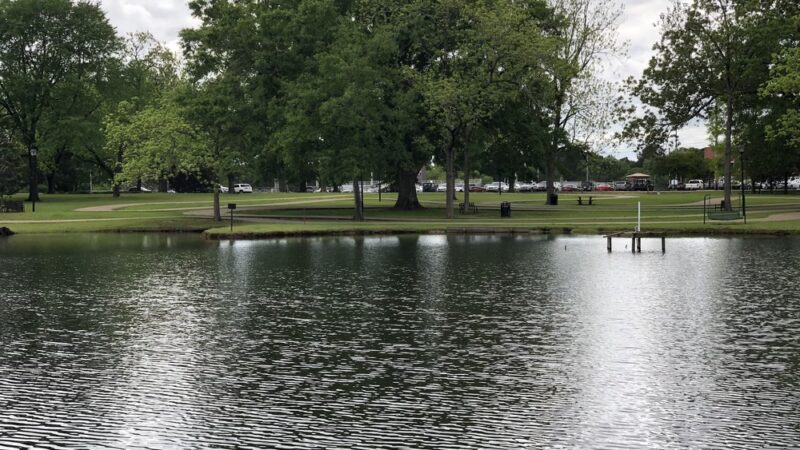 Strawberry Patch Park - Madison, MS