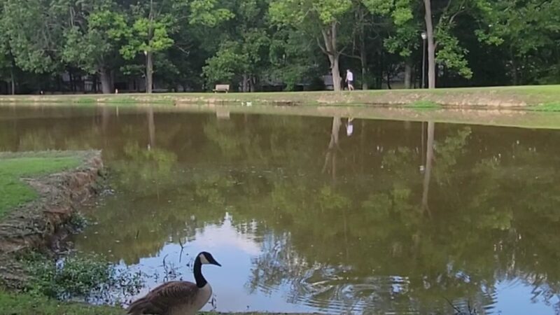 Strawberry Patch Park - Madison, MS