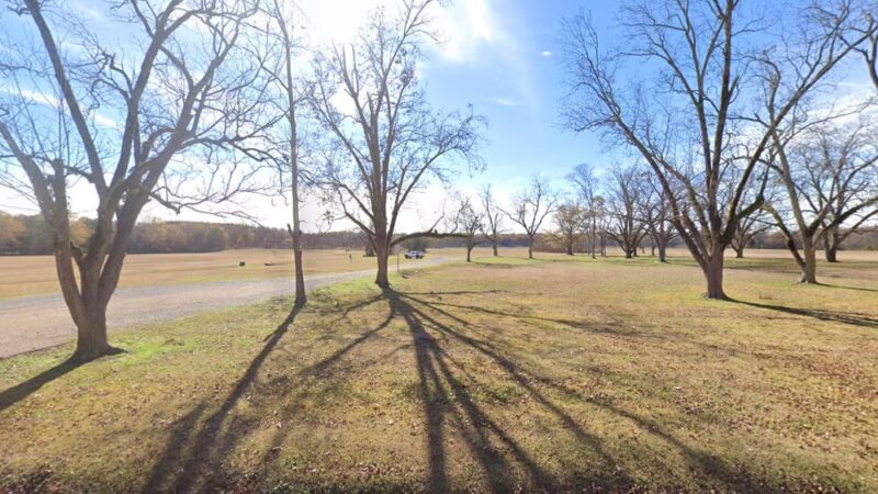 The Pecan Grove - Madison, MS