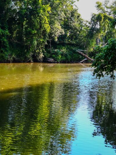 Madison River Park - Madison, NC