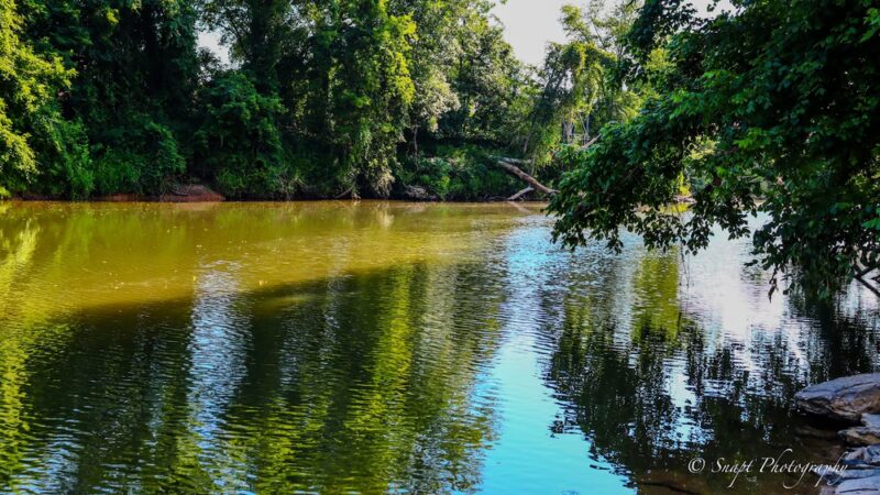 Madison River Park - Madison, NC