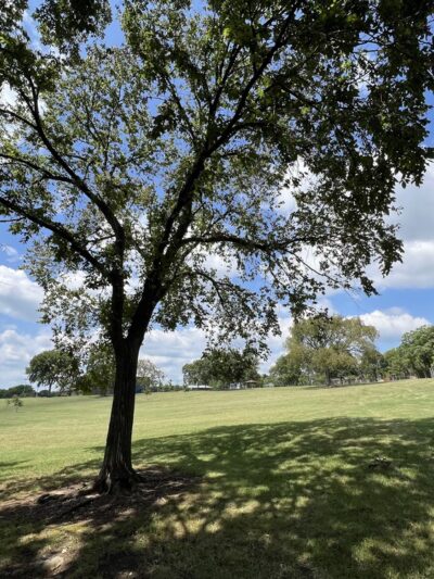 Madison Park - Madison, TN