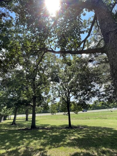 Madison Park - Madison, TN