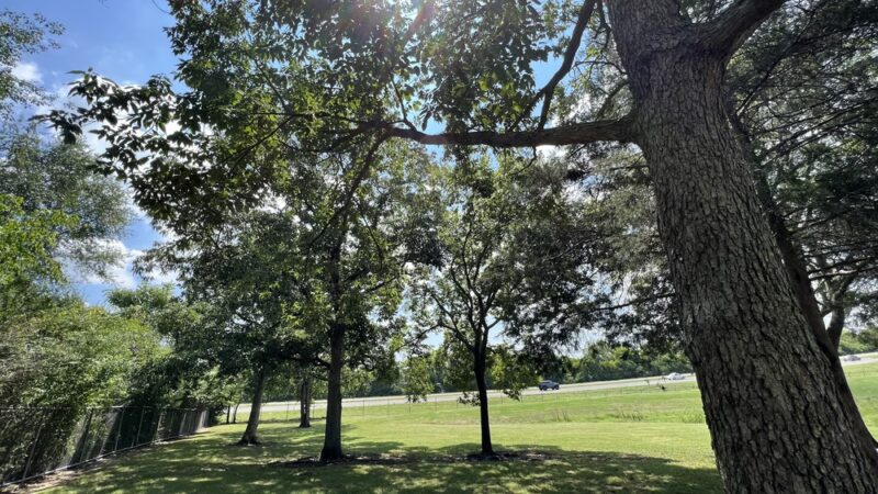 Madison Park - Madison, TN