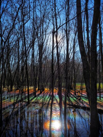 Peeler Park Greenway Trailhead - Madison, TN
