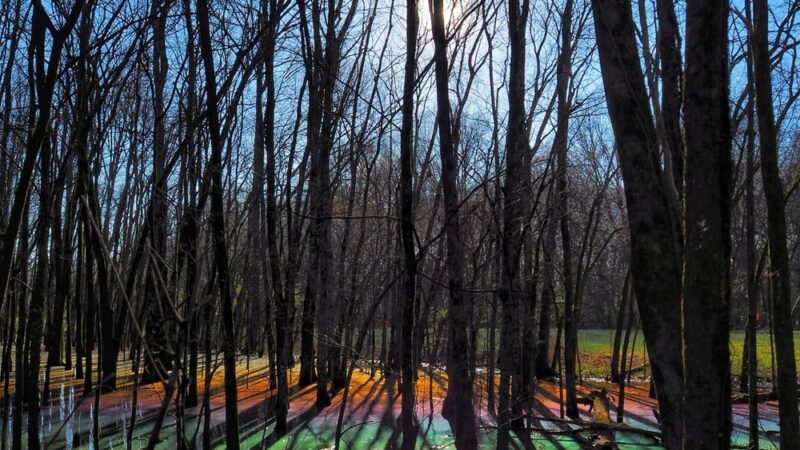 Peeler Park Greenway Trailhead - Madison, TN