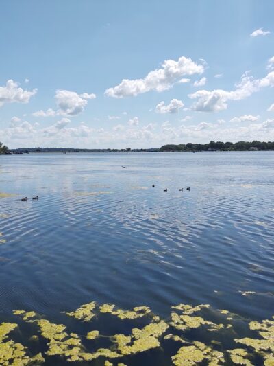 Brittingham Park - Madison, WI
