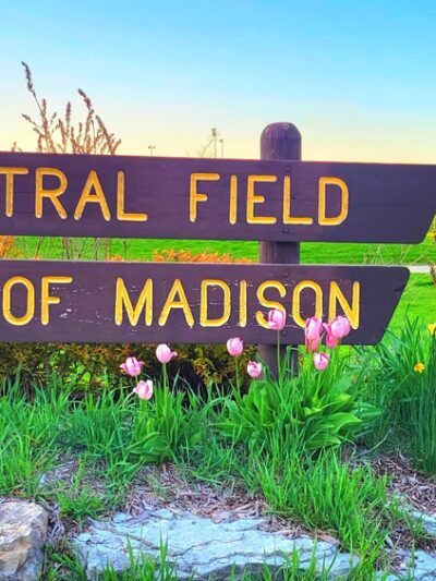 Demetral Park - Madison, WI