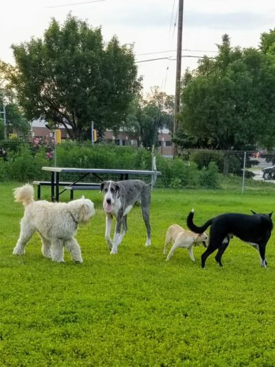 Demetral Park - Madison, WI