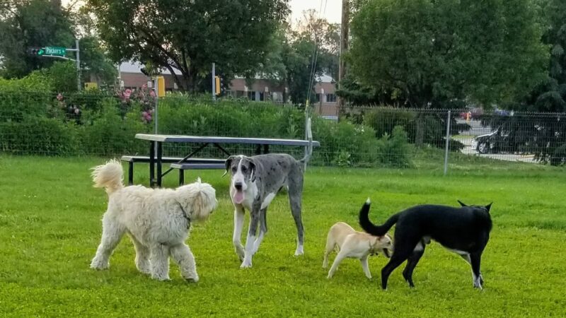 Demetral Park - Madison, WI