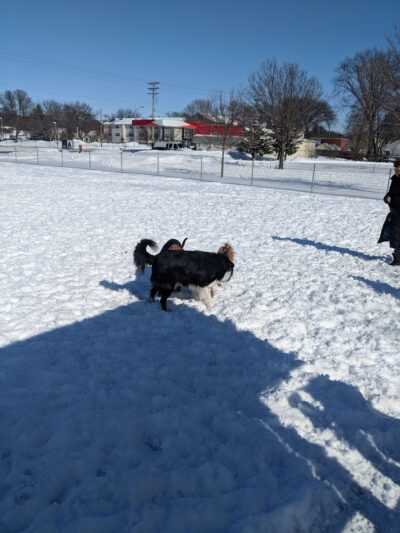 Demetral Park - Madison, WI