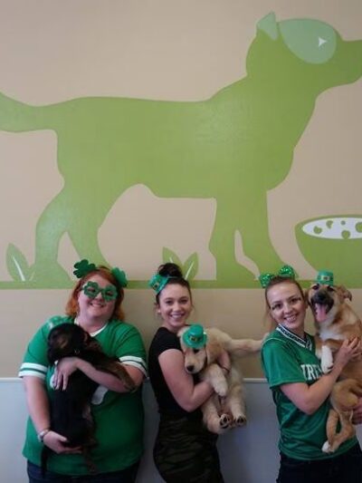 Dog Haus University - Madison, WI