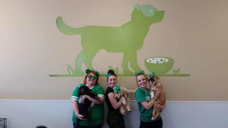 Dog Haus University - Madison, WI