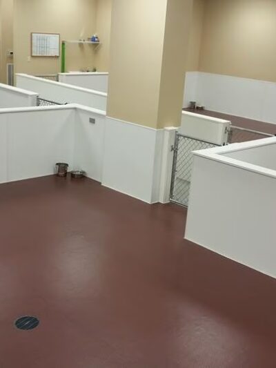 Dog Haus University - Madison, WI