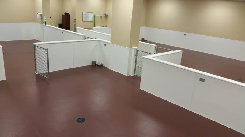 Dog Haus University - Madison, WI