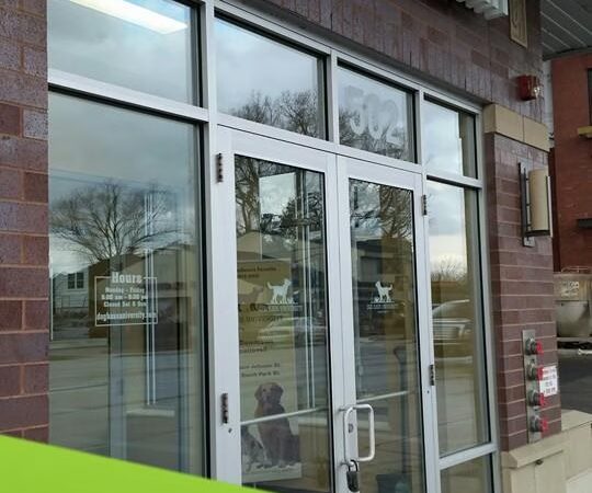 Dog Haus University - Madison, WI