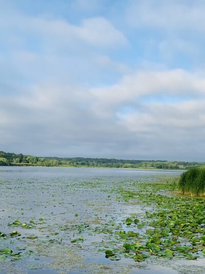 Edgewood Park - Madison, WI