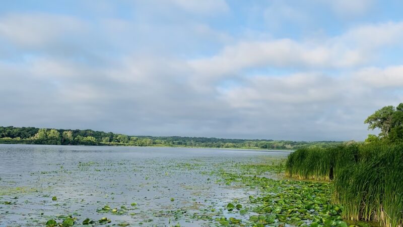 Edgewood Park - Madison, WI