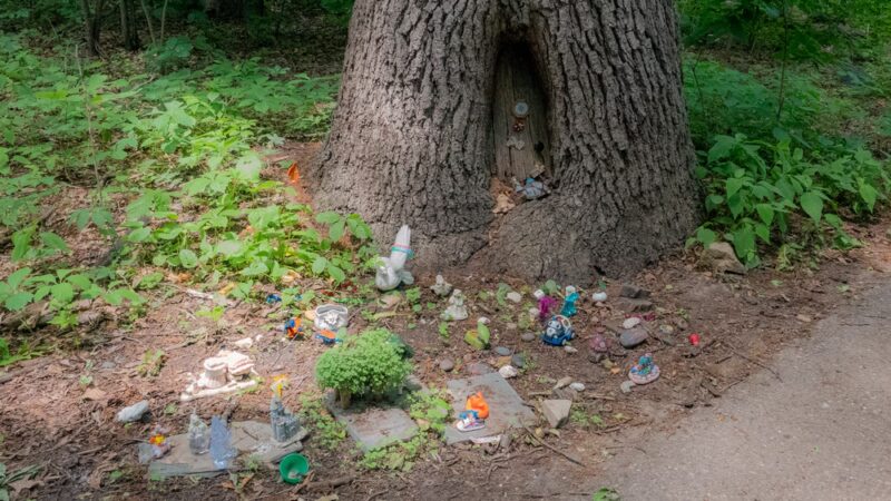 Edgewood Park - Madison, WI