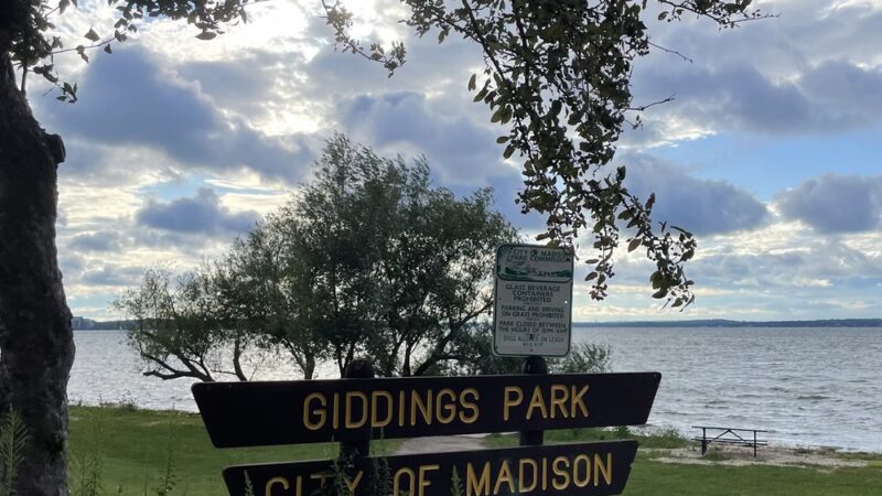Giddings Park - Madison, WI