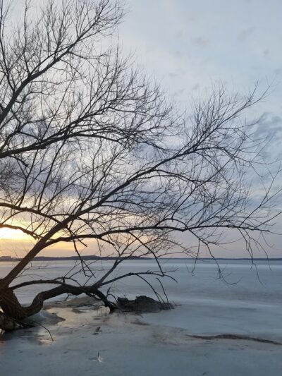 Giddings Park - Madison, WI