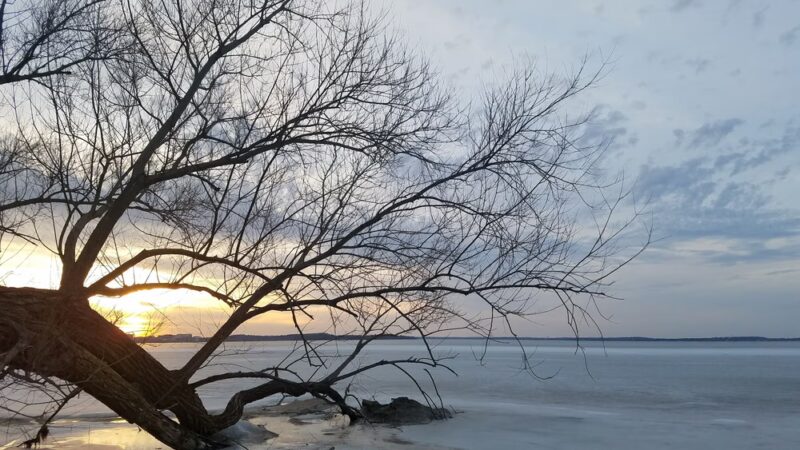 Giddings Park - Madison, WI