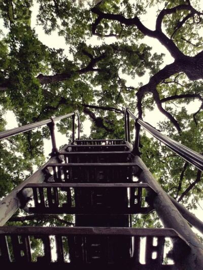 Heifetz Park - Madison, WI