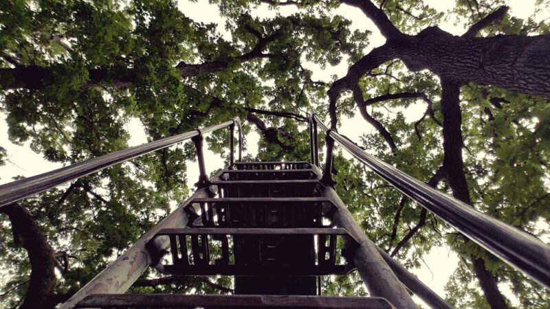 Heifetz Park - Madison, WI