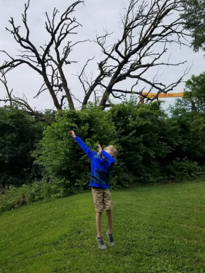 Heifetz Park - Madison, WI
