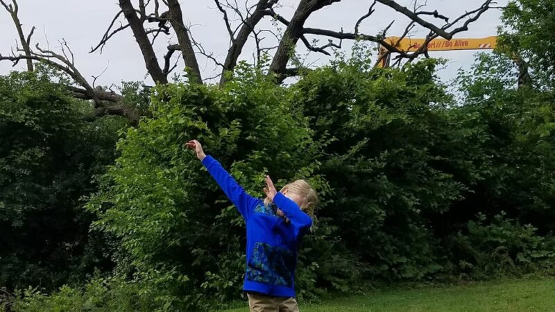 Heifetz Park - Madison, WI