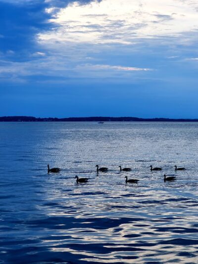 James Madison Park - Madison, WI