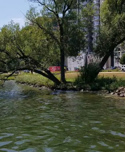 Law Park - Madison, WI