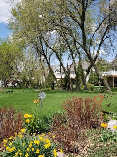 North Star Park - Madison, WI