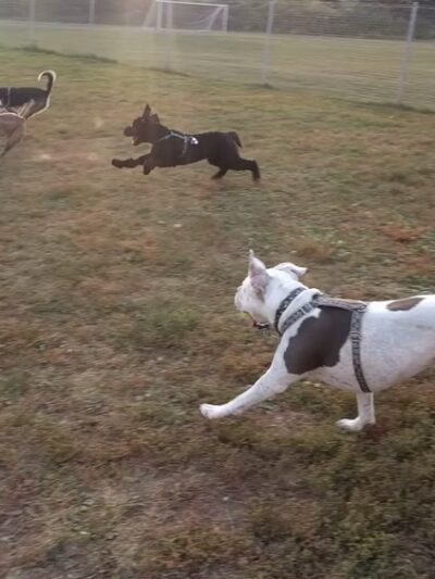 Odana School Park - Madison, WI