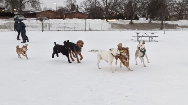 Odana School Park - Madison, WI