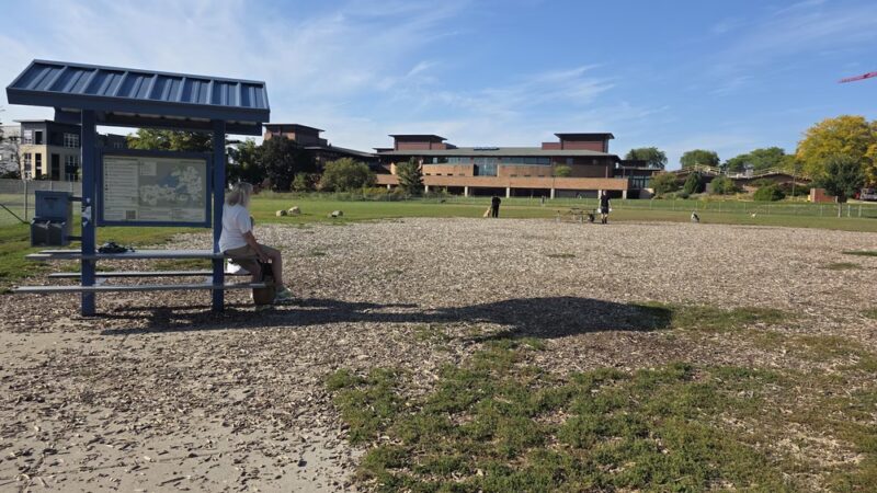 Odana School Park - Madison, WI