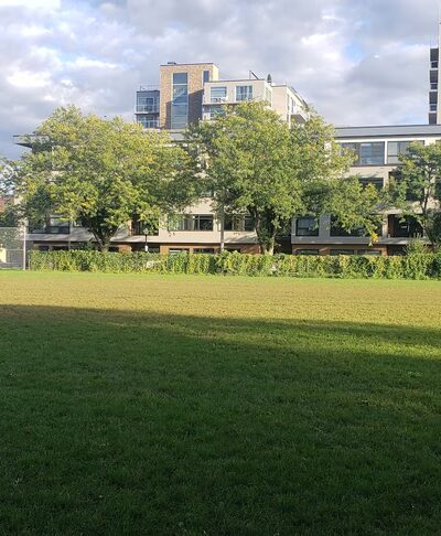 Reynolds Park - Madison, WI