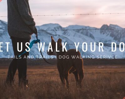 Tails and Trails - Madison, WI